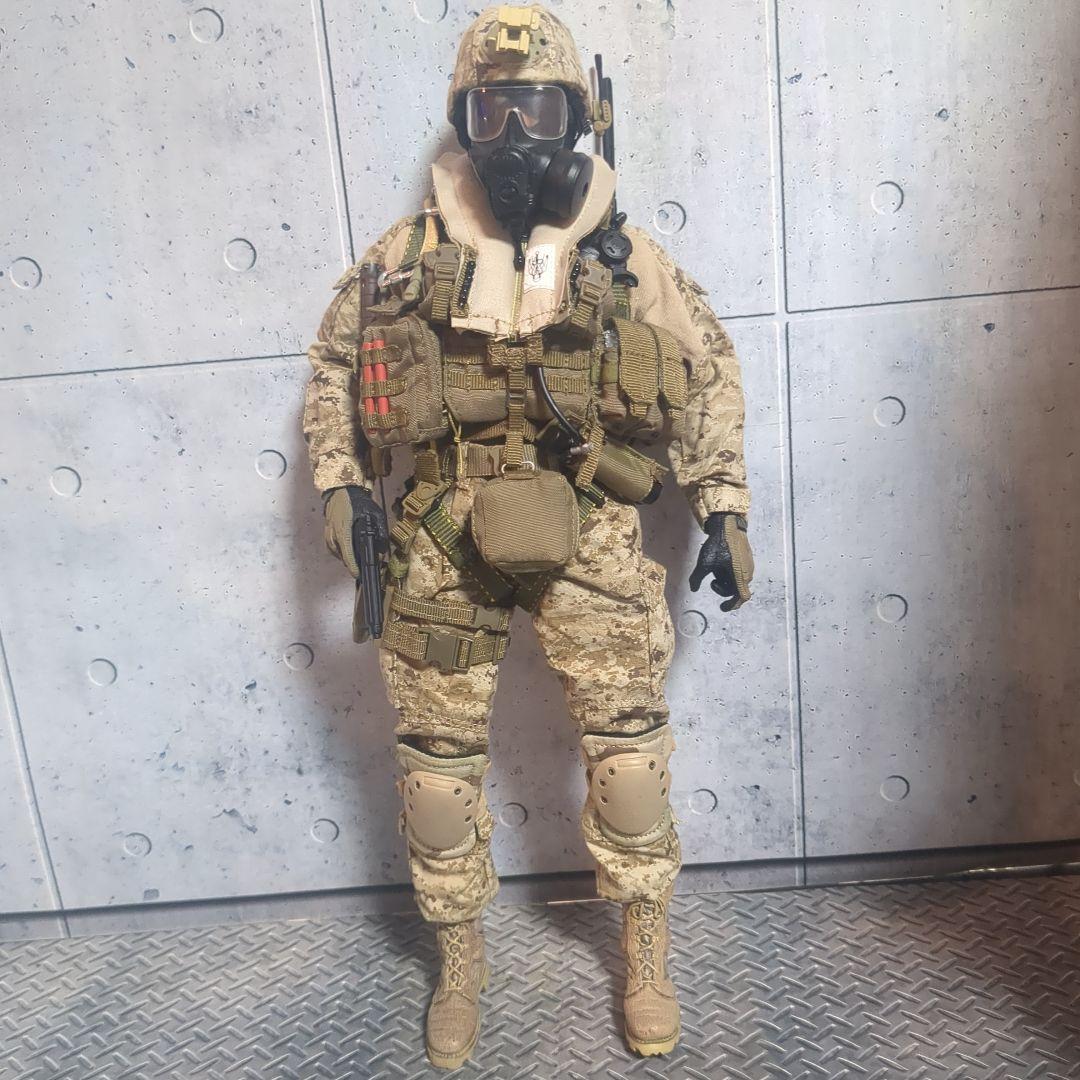 1/6 12インチ 特殊部隊カスタムフィギュア CS108