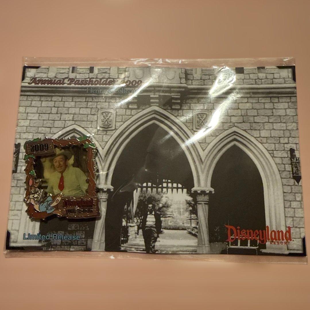 ディズニー Disney ウォルト スプラッシュマウンテン ピンバッジ