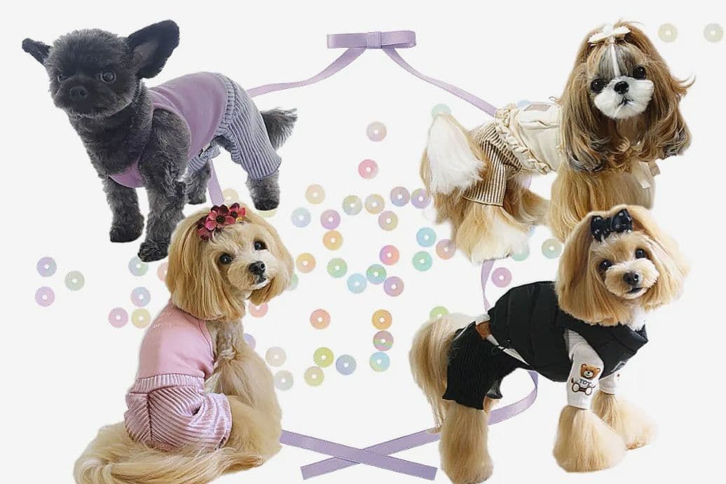 新品トップス＆インナーパンツcircuscircusサーカスサーカス