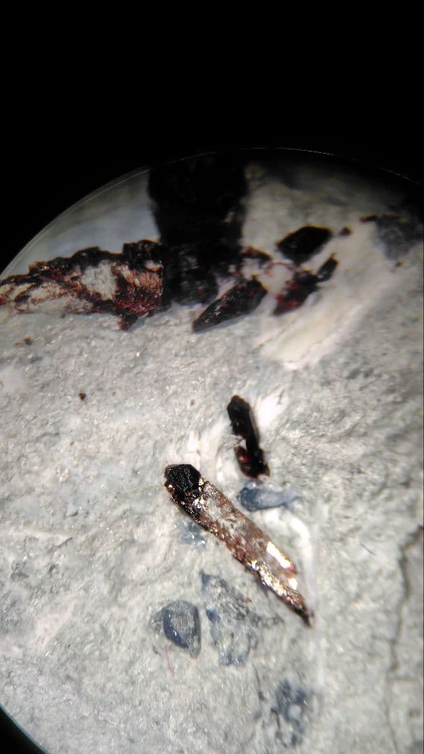 ベニトアイト、ネプチュナイト　アメリカ合衆国産　1084