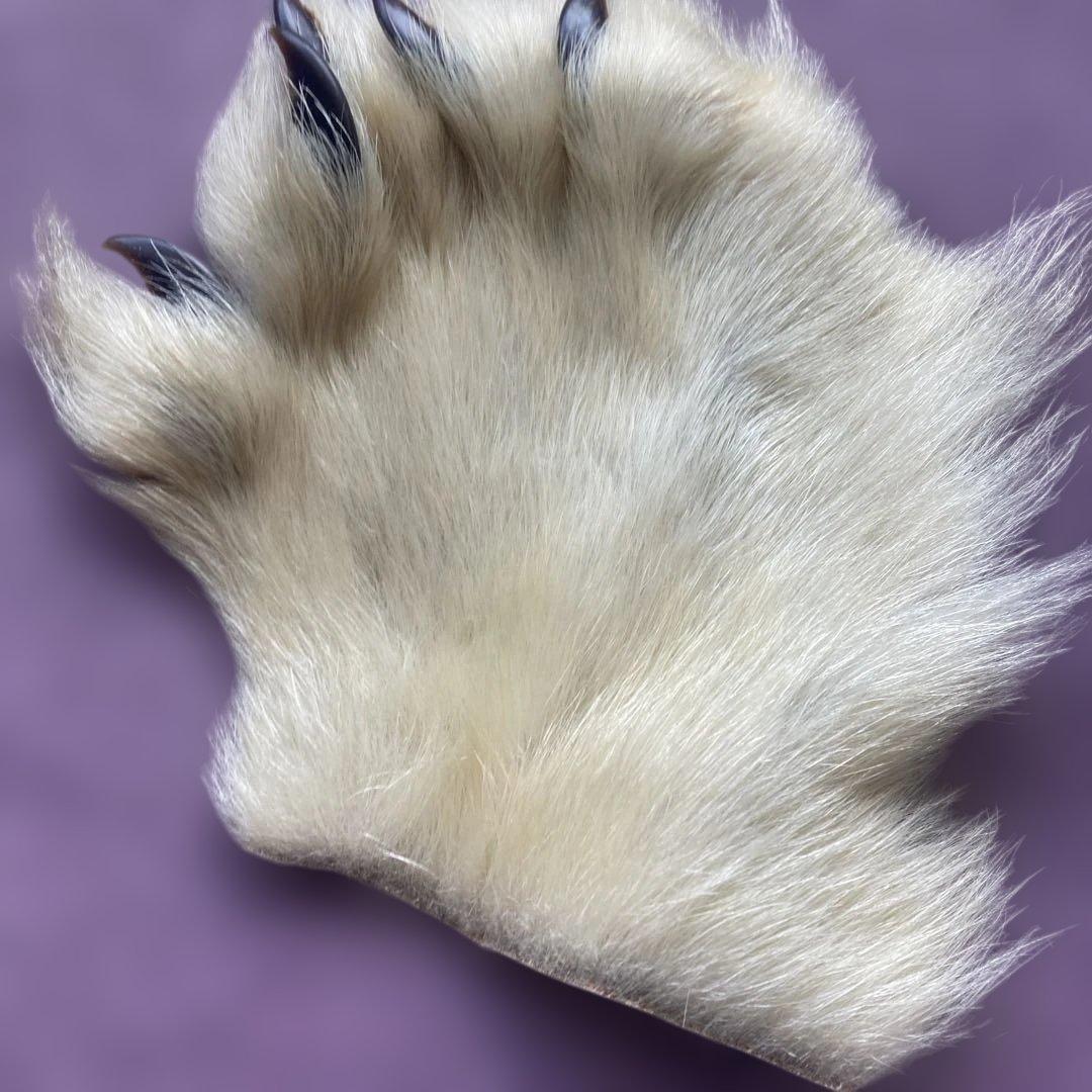 ポーラーベア　フライマテリアル　 サーモンフライやストリーマーなどに 爪５本付き