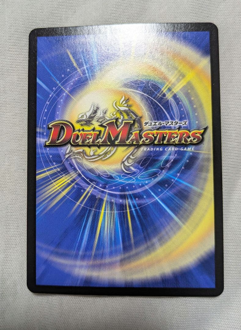 シャコガイル　b