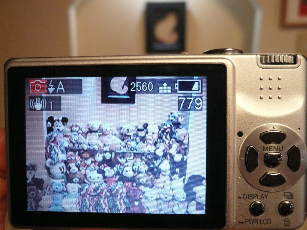 LUMIX★DMC-FX7⭐️極美品⭕️安心の実働品★シルバー