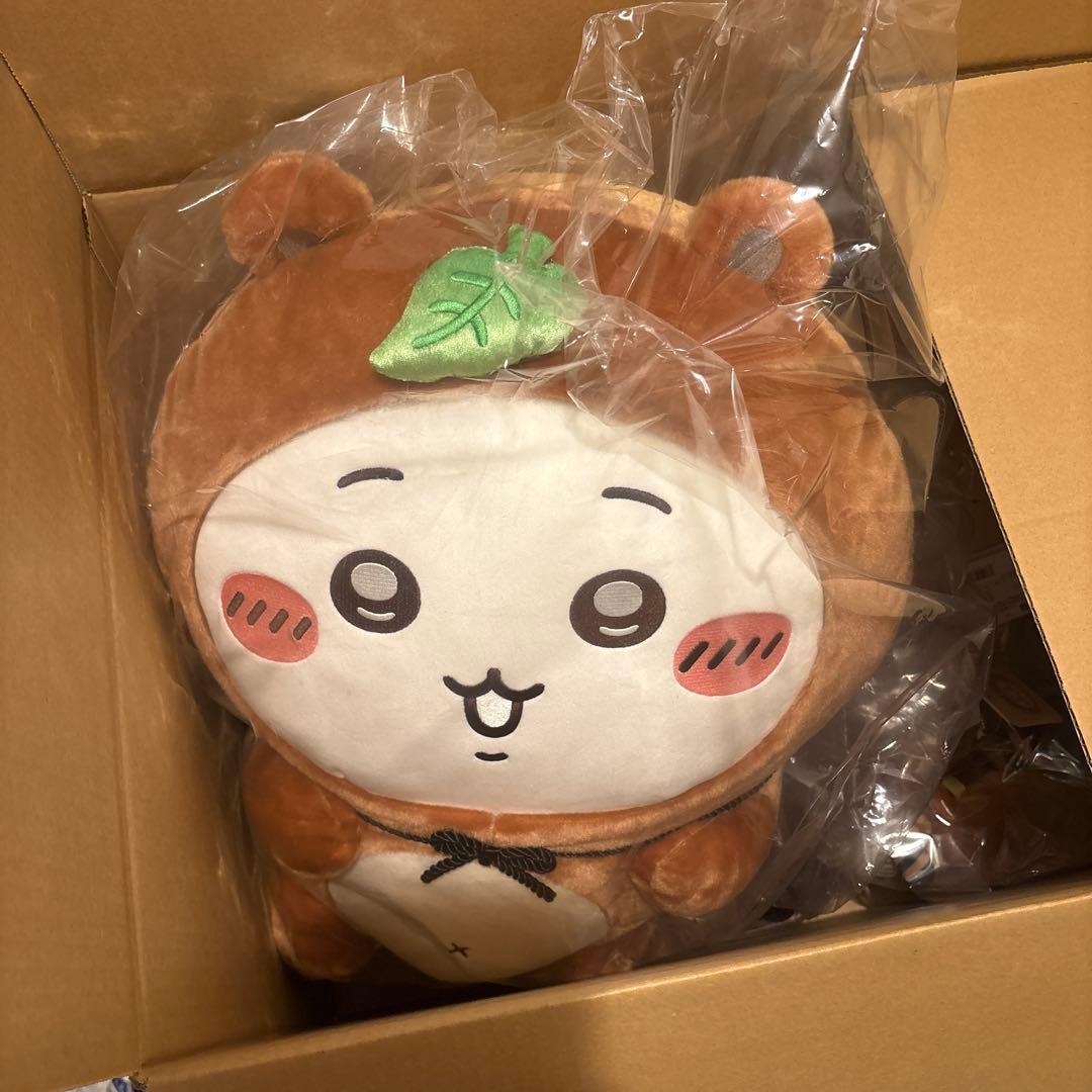 ちいかわ たぬきだもんくじ A賞 ちいかわ