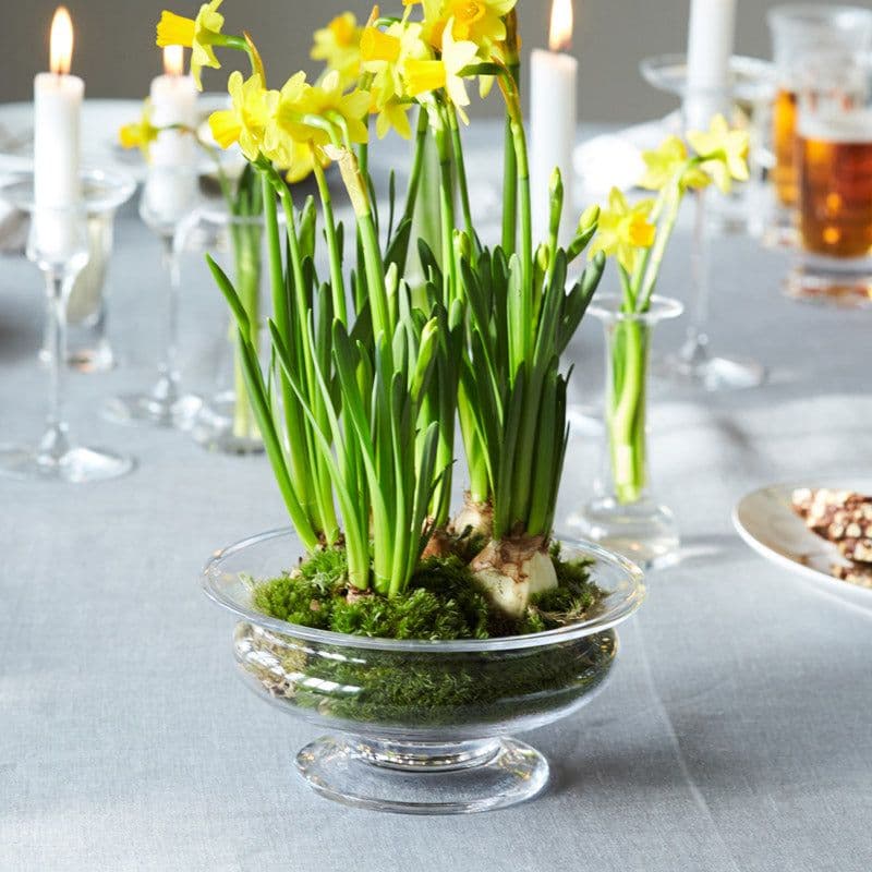 レトロ ガラスボウル ■ 猫脚 足つき アンティーク ヴィンテージ 蚤の市