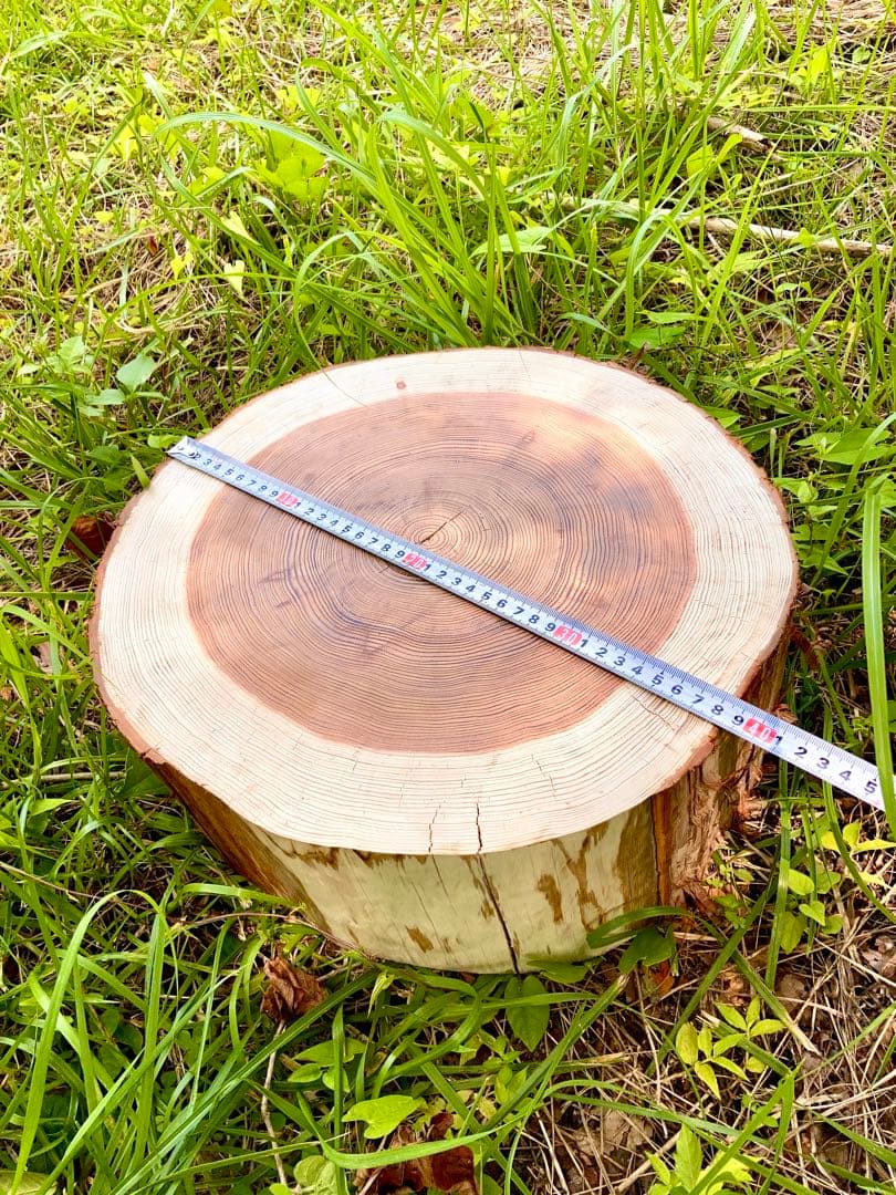 完売　オーダー受付中！天然杉/超特大サイズ！【森を感じられる切り株テーブルなど】