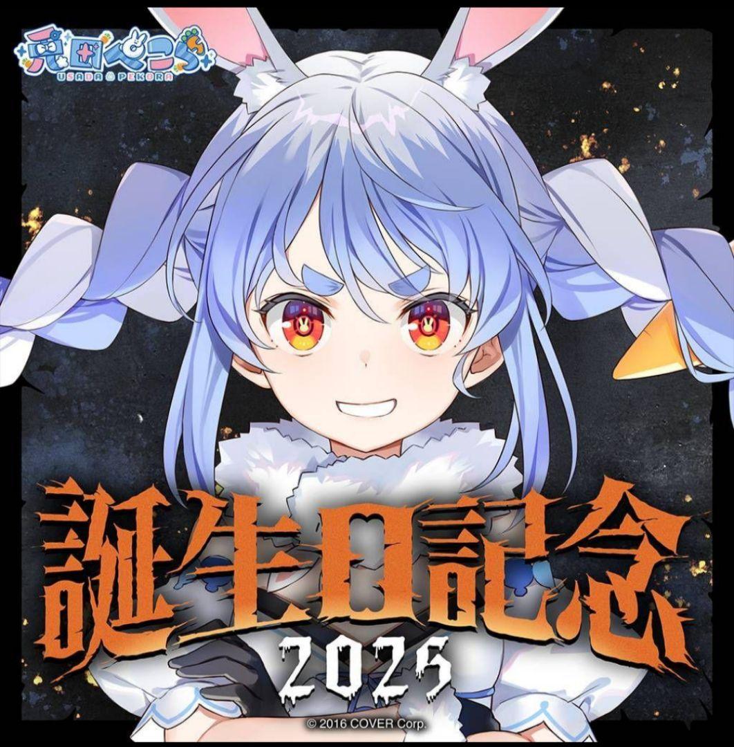 ホロライブ　兎田ぺこら　誕生日記念2025 フルセット　a