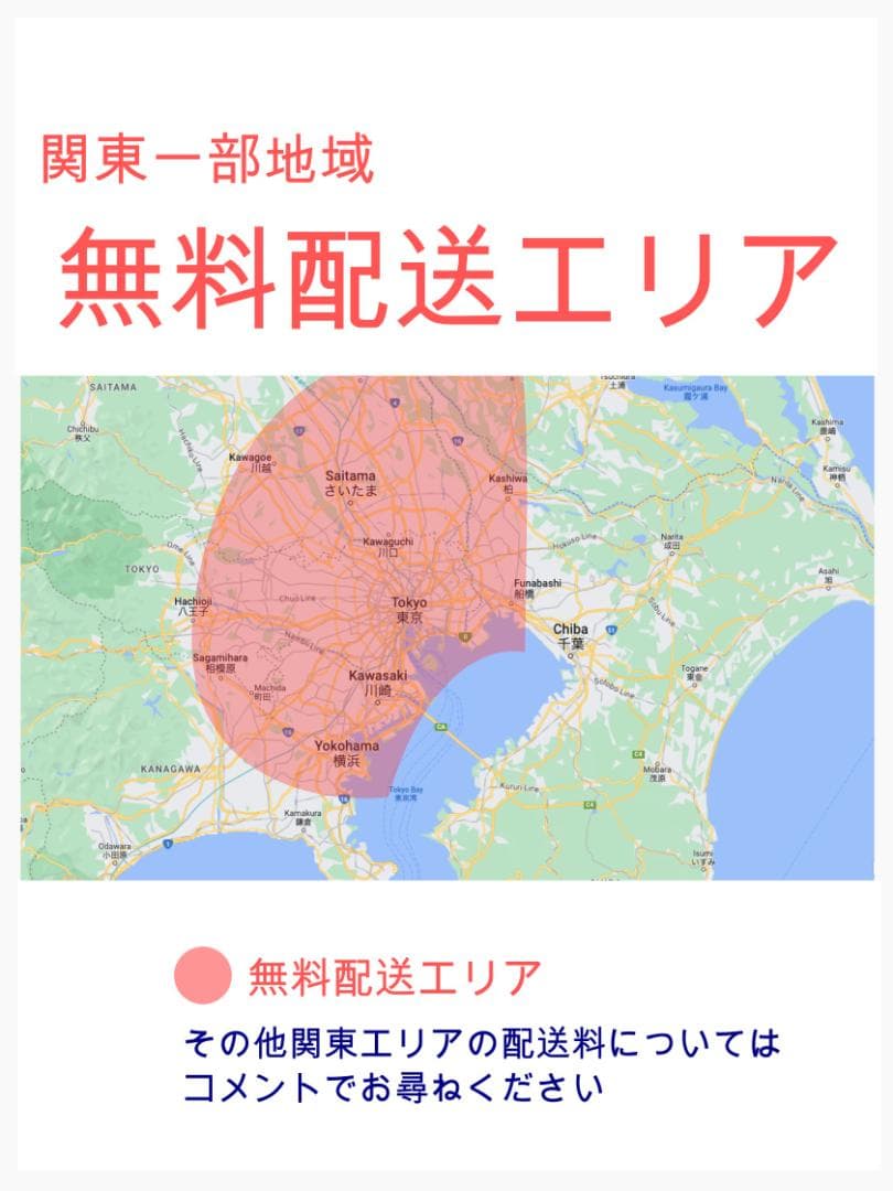 超人気No1モデル ブラウン ヤマハ 子供乗せ電動アシスト ZH3027