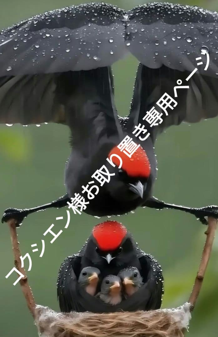 コクシエン様お取り置き専用ページになります。