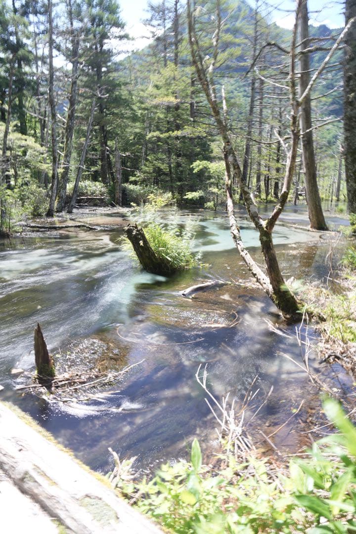 l*♡様 約37%オフ！SONY α7RV ILCE-7RM5 ボディ a7RV