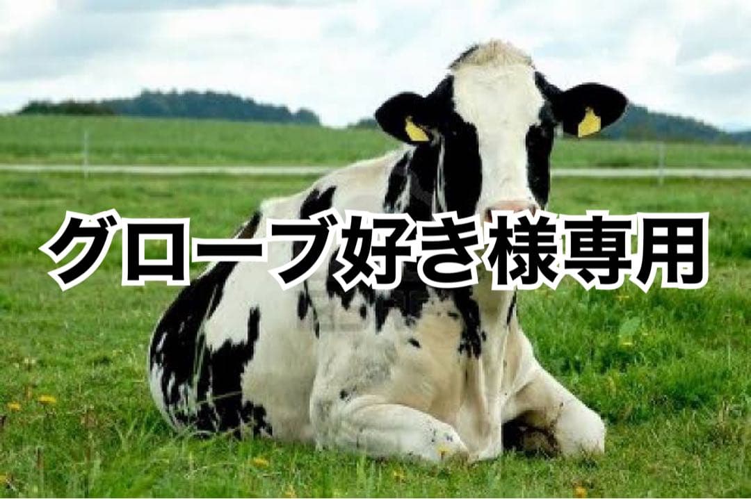 タン濃30、黒芯白16、キャメル芯白5、赤10