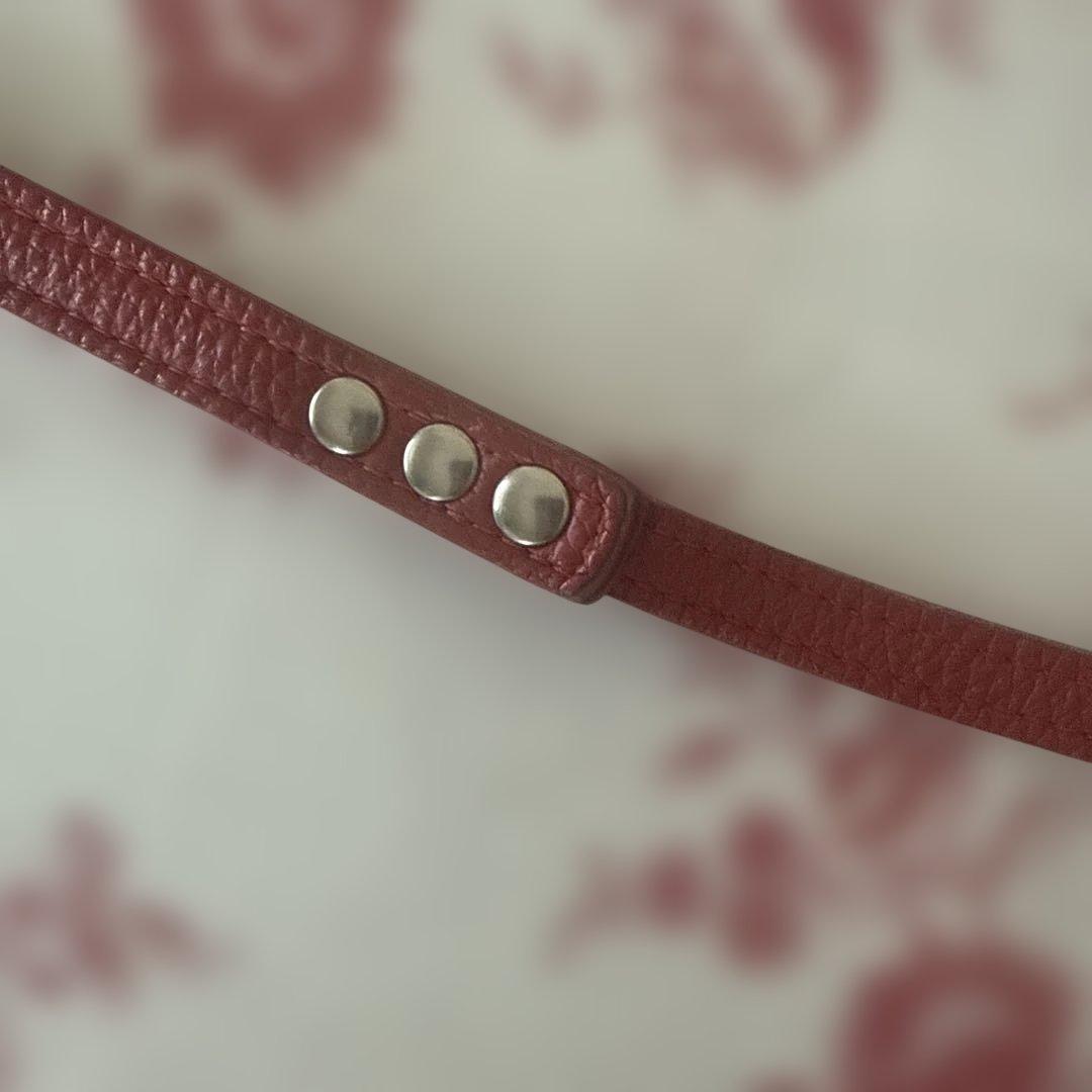 バディベルト✴︎ハーネス、リードセット