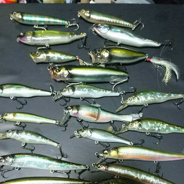 メガバス オイカワカラー