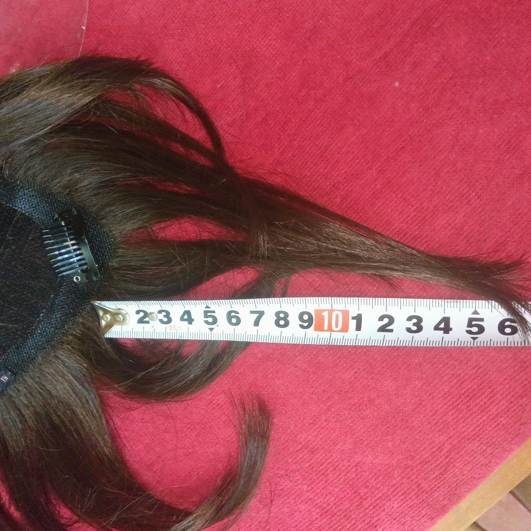 新品　未使用　　レオンカ　SF T309 YN ロング　３点止　パーマヘア