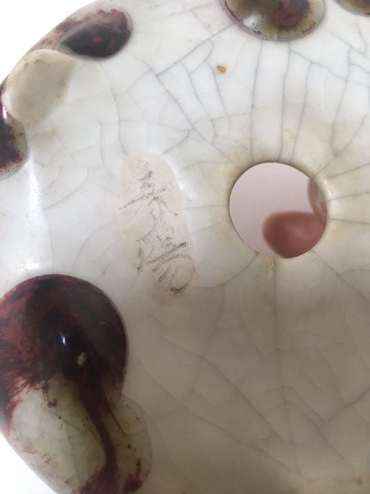 「菊池春陽」盆栽鉢