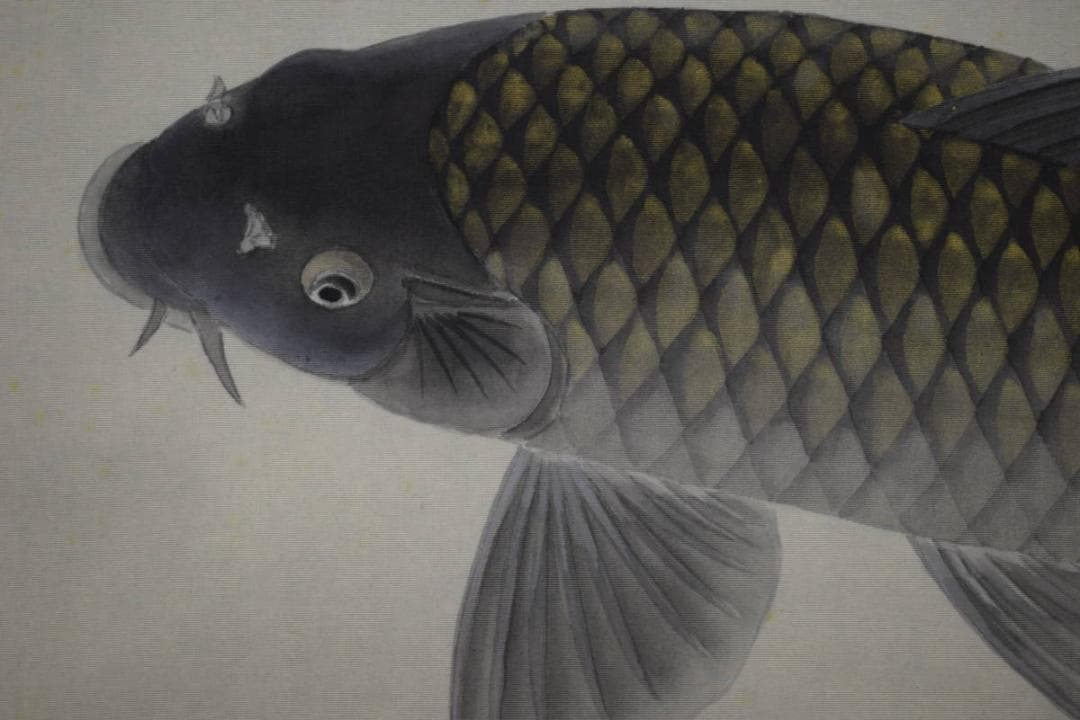 真作/松浦初子/鯉図/松浦満の妻/桐共箱二重箱付/布袋屋掛軸HG-985