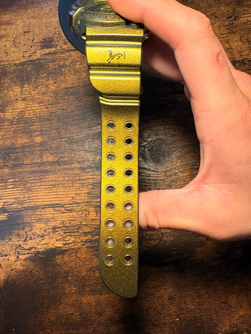 時計 G-SHOCK FROGMAN GW-200