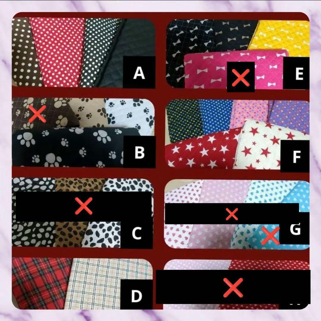 ミックス犬4輪　リハビリ　食事補助　犬用車椅子　体制維持　犬の歩行器