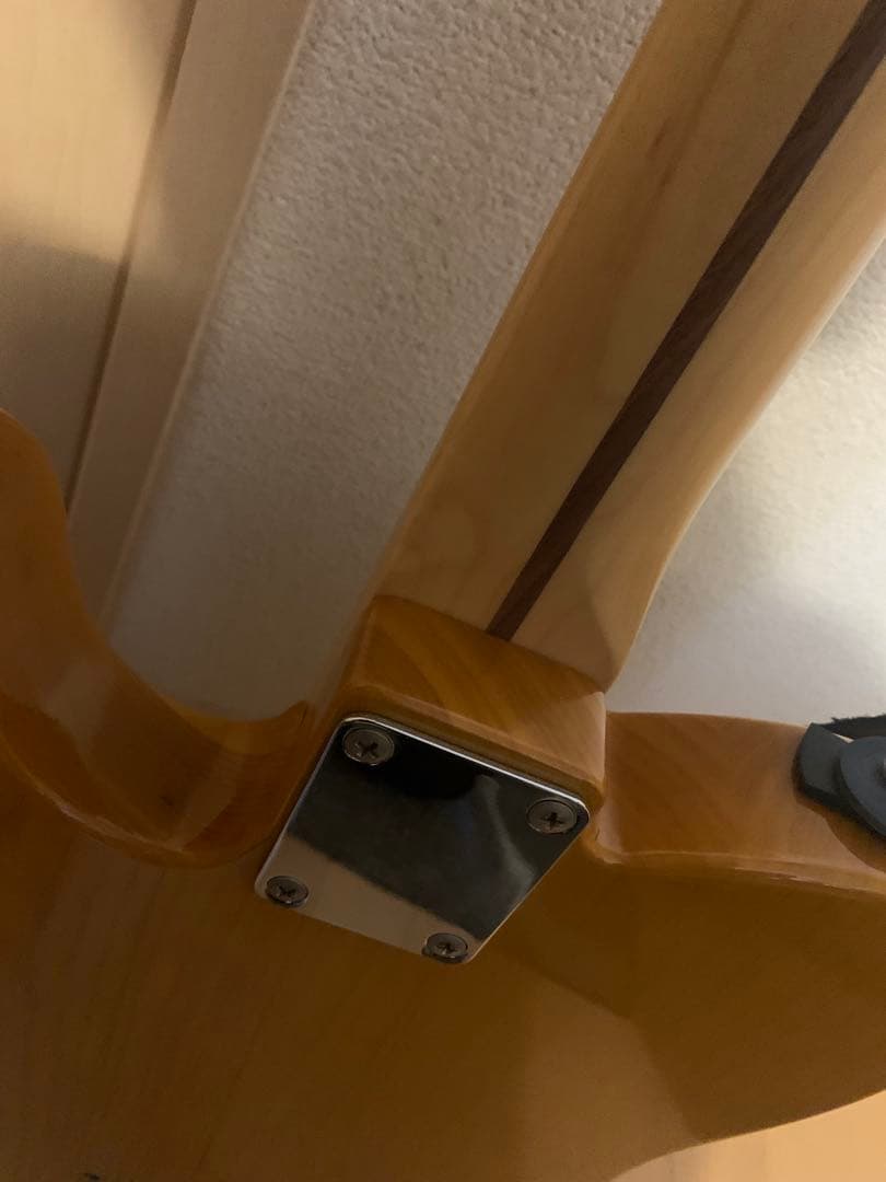 フジゲン ネオクラシック テレキャスター　エレキギター