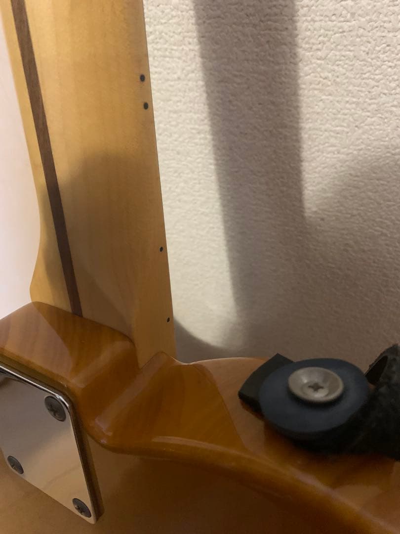 フジゲン ネオクラシック テレキャスター　エレキギター