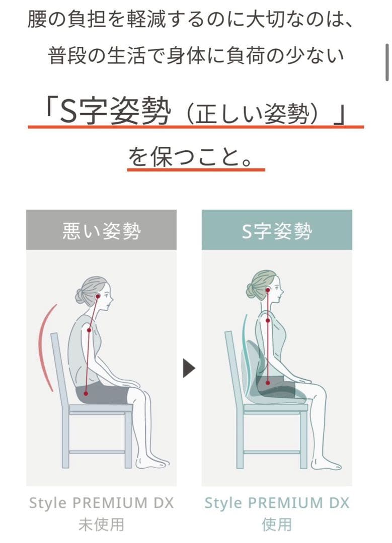 Style PREMIUM DX 座椅子