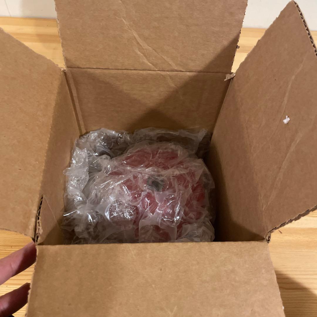 ほ*ぺ様 Coleman model 200, made in USA