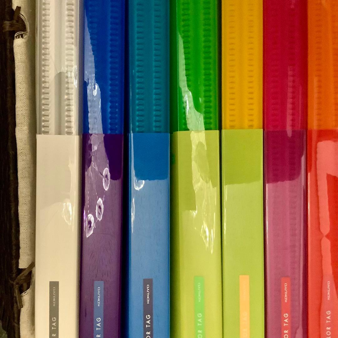 クリヤーブック〈カラータグ〉（固定式）Bi-COLOR※廃盤品