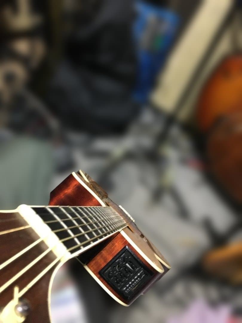 オンリーワン！NPT 515赤プリTRI 2系統出力　バーカス他改良多数　動画！