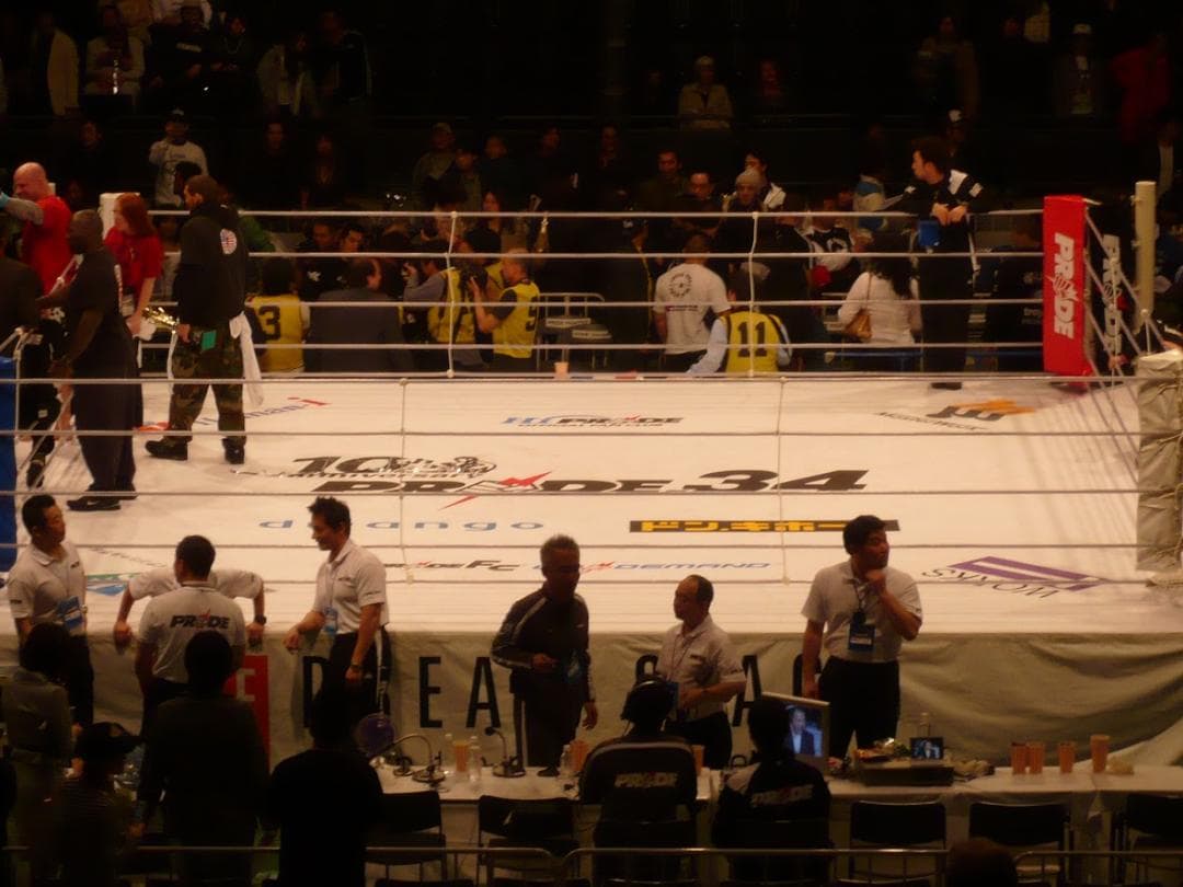 【激レア】PRIDE・UFC ヴァンダレイ・シウバ　サイン入りフィギア