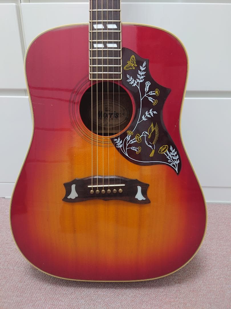 モーリス ギター Morris WD-25 ハミングバード