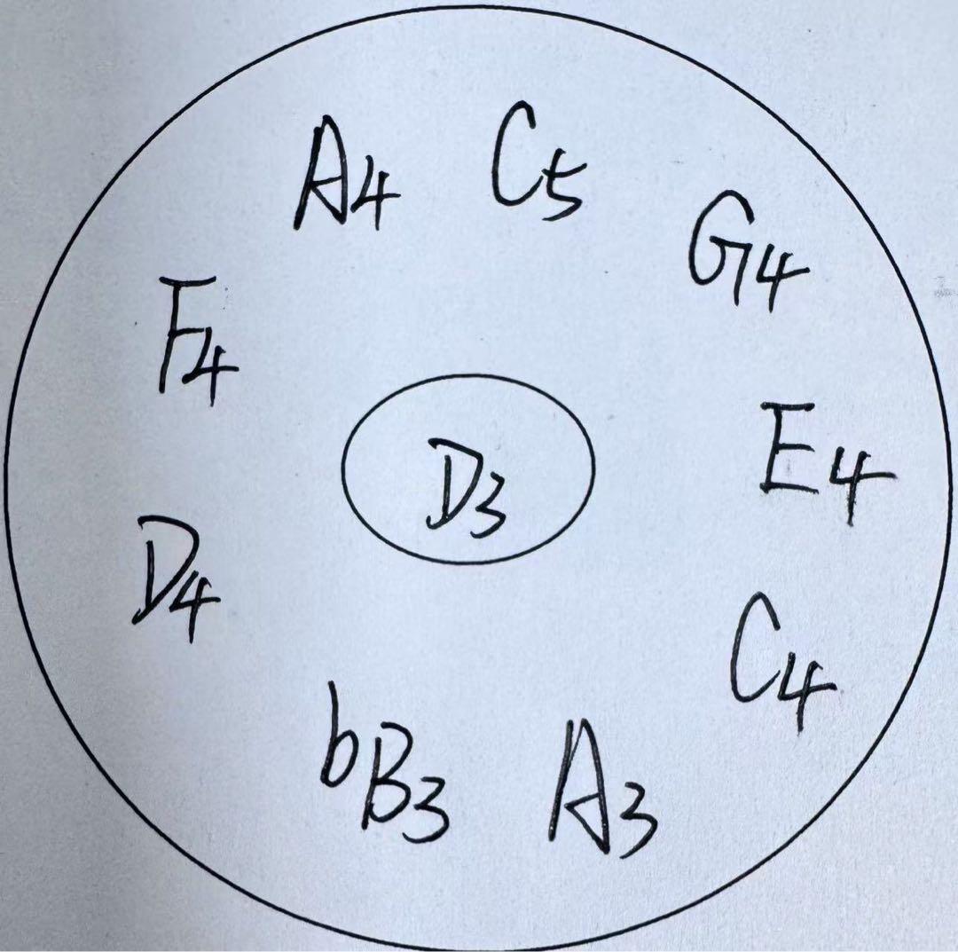 専用です　　　　　 LYハンドパンD kurd 10