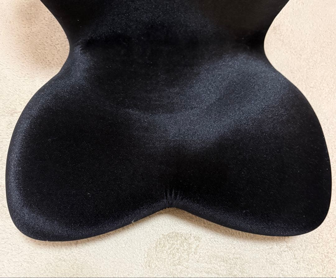 【極美品】MTG STYLE premium DX 姿勢矯正シート 正規品