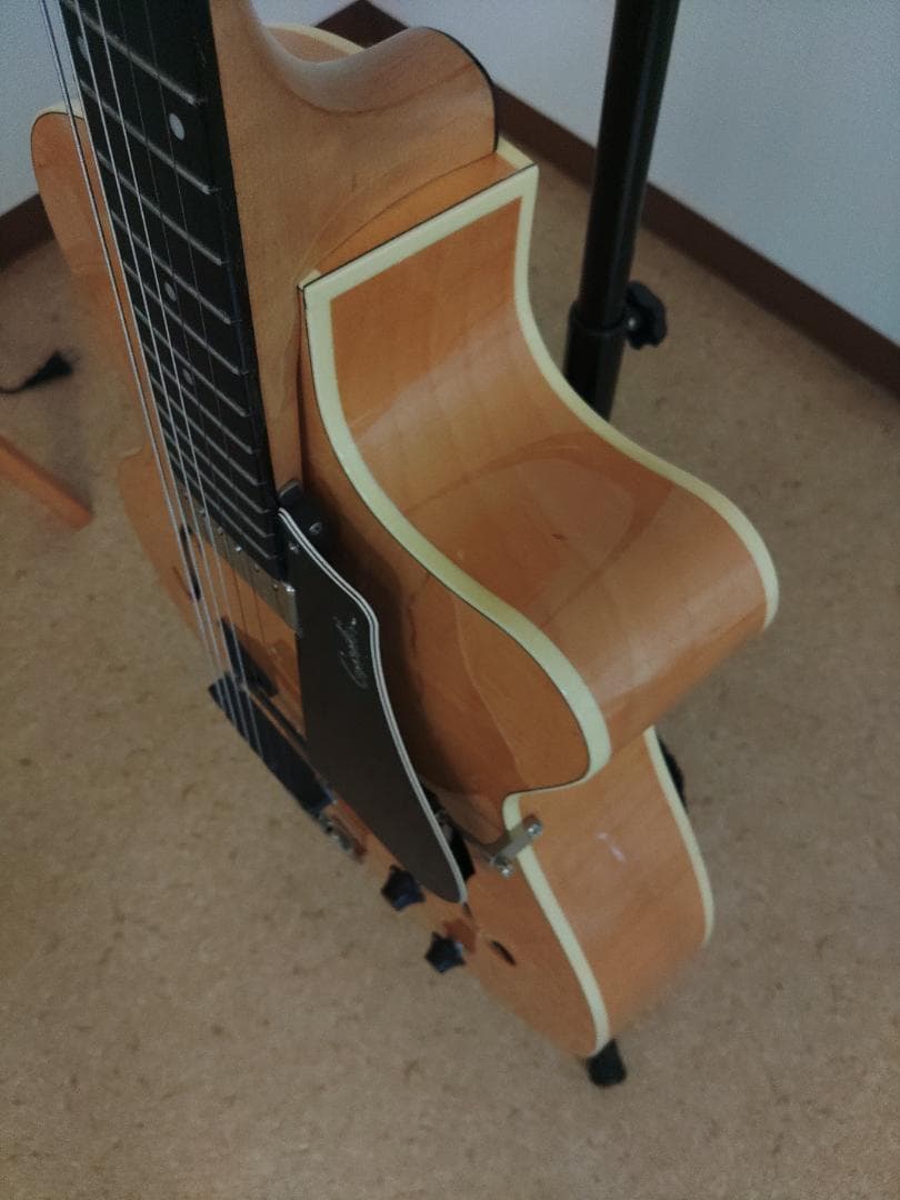 Godin (ゴダン) ： 5th Avenue Jazz / フルアコ・ギター