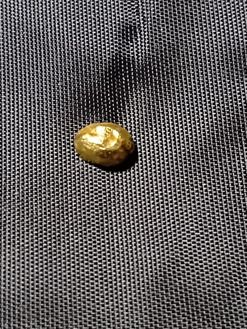 STOP LIGHT ストップライト（ 金目のみ）