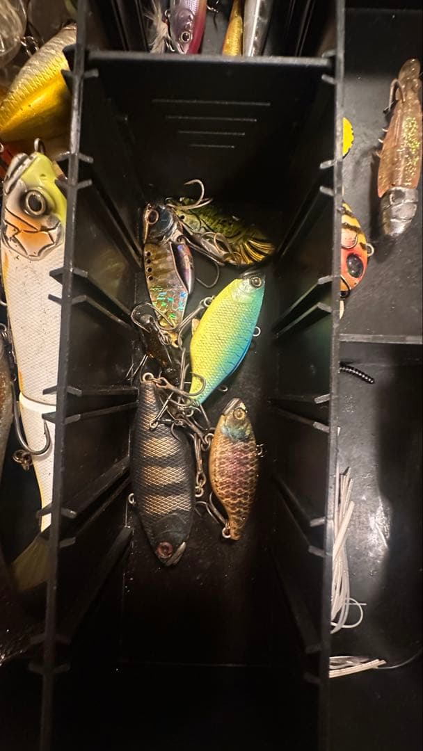 バス釣り引退セット 早い者勝ち！ シマノ ダイワ