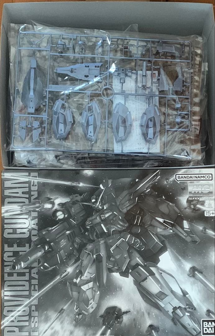 MGプロヴィデンスガンダム(スペシャルコーティング) プレミアムバンダイ