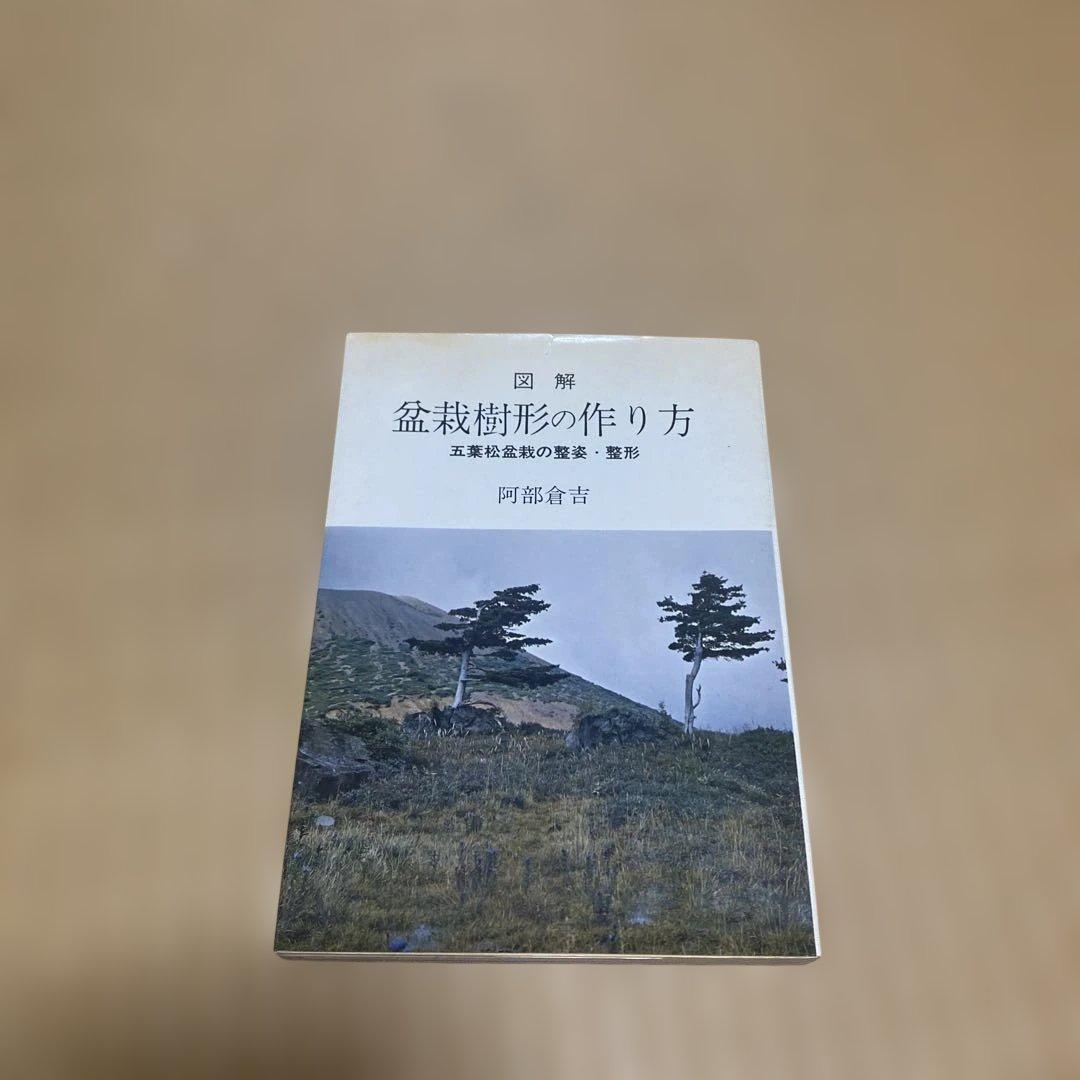 盆栽樹形の作り方 阿部倉吉