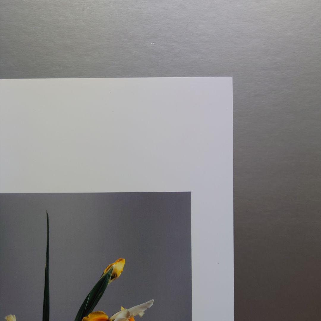 井上治（Osamu Inoue）９００２０４１４　フォトアート　静物　作品