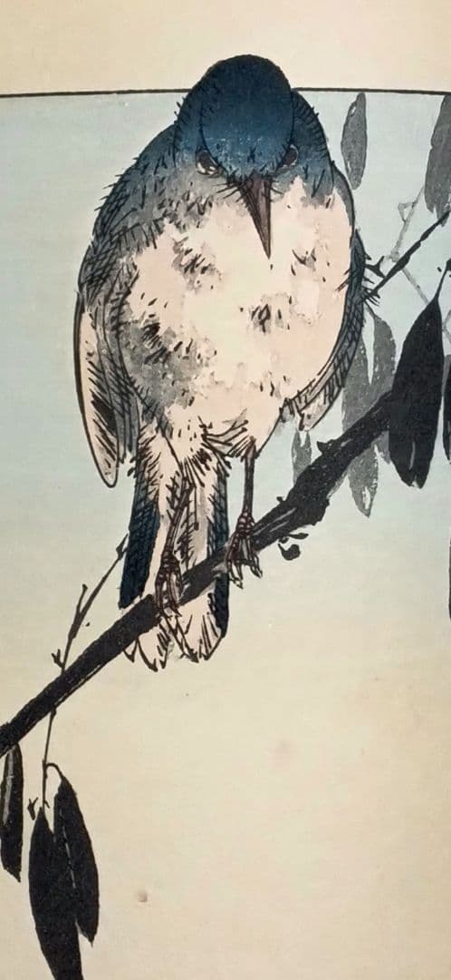 稀省亭版画花鳥画帖12図柄入り渡辺省亭画、明治後期頃芸艸堂出版