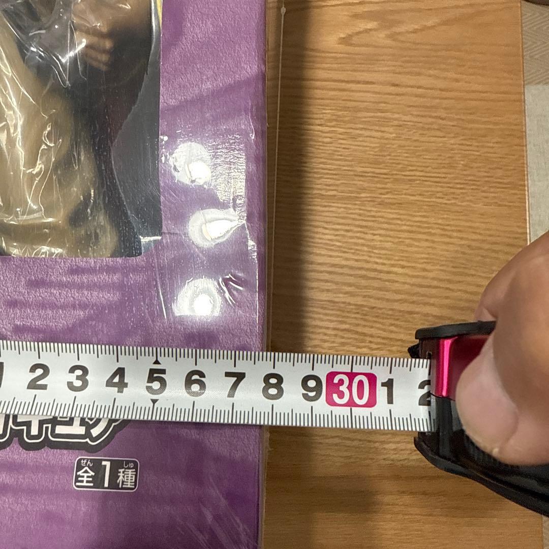 エドワード・ニューゲート フィギュア