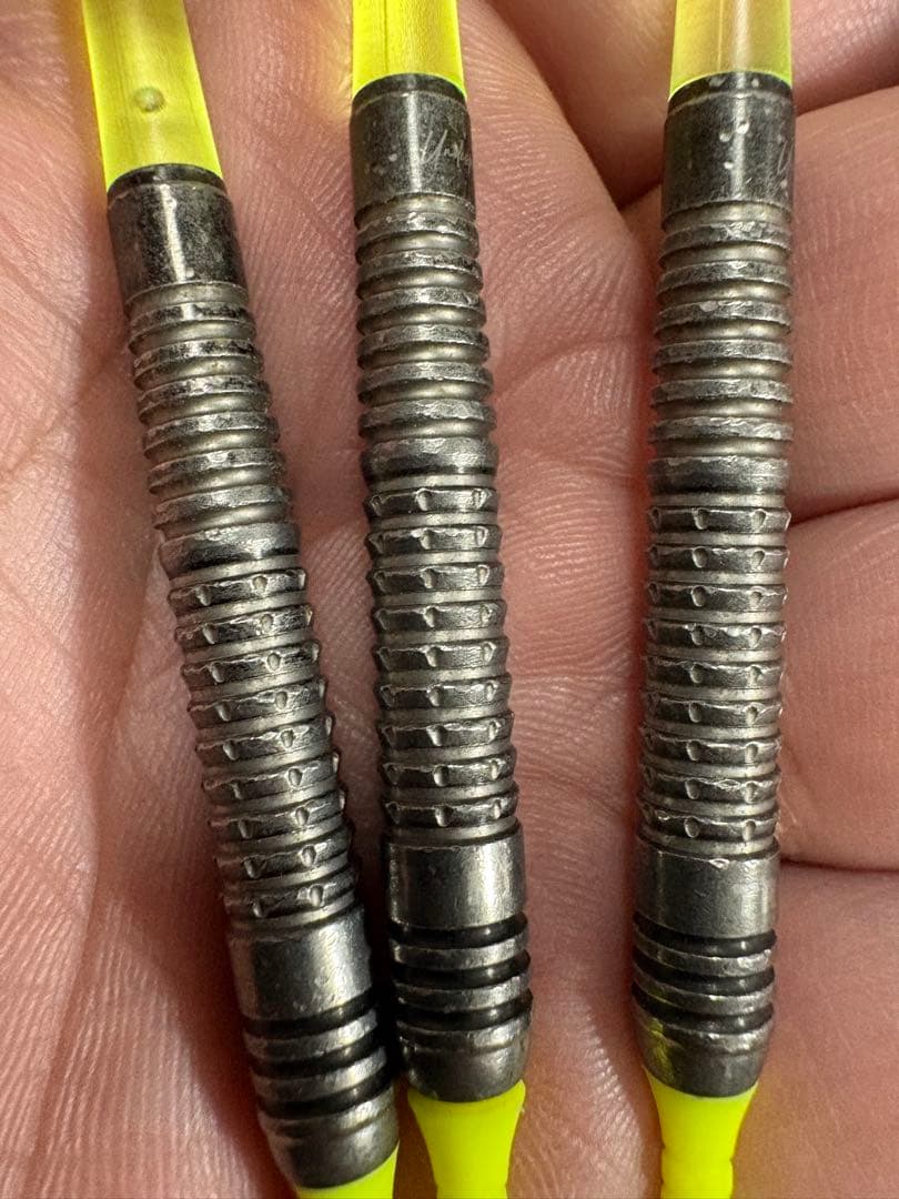 かに　TRINIDAD RICARDO エスダーツ限定 浅田斉吾選手モデル