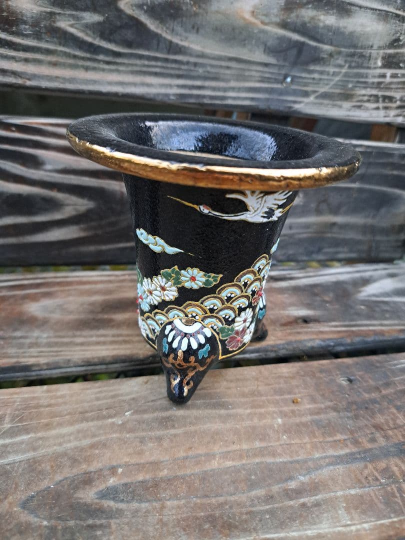 錦鉢　万年青　オモト　おもと　長生蘭　伝統園芸　植物　風蘭　富貴蘭　古典　着生蘭