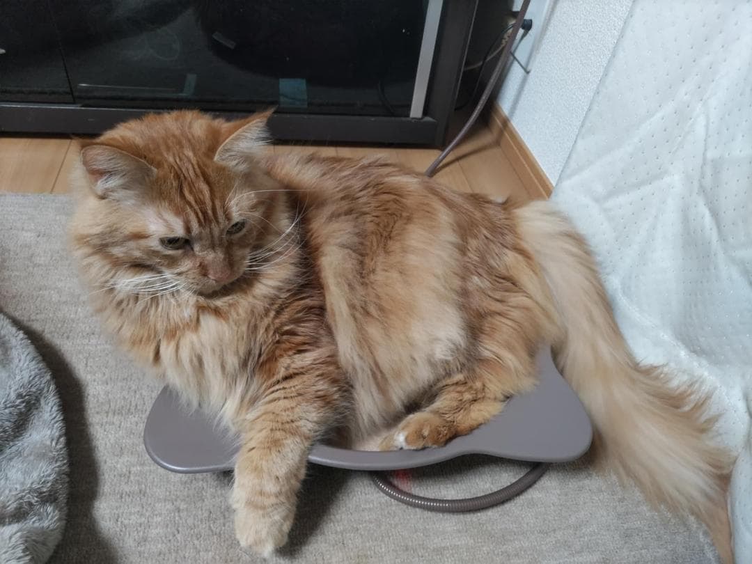 マルカン NYANTA CLUB 遠赤外線ホッとヒーター 猫鍋マット付_corg