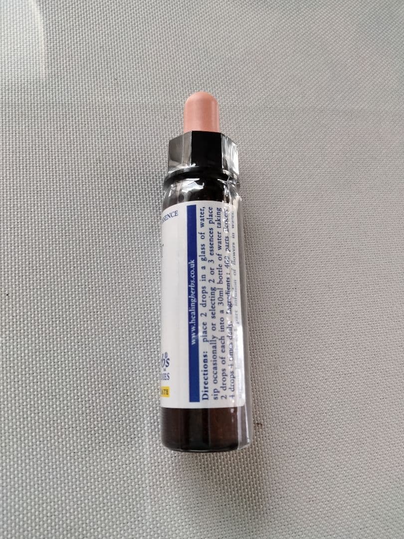 PON☆55様■ ホワイトチェストナット2 チコリ2 インパチェンス1