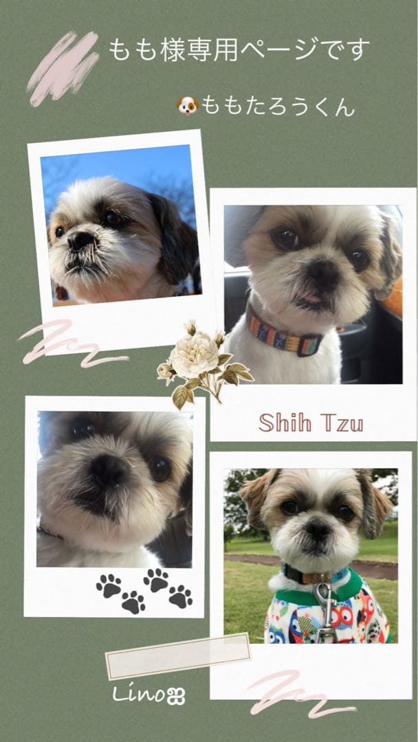 ‪ஐ‬羊毛フェルト ‪ஐ‬੯•`໒もも様 オーダー専用ページです