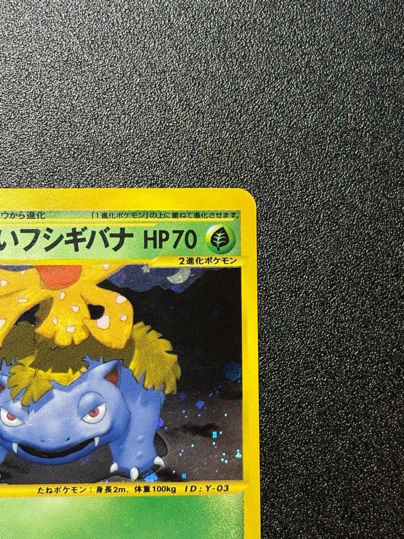 希少！アンリミ　わるいフシギバナ　eカード　webカード　色違い