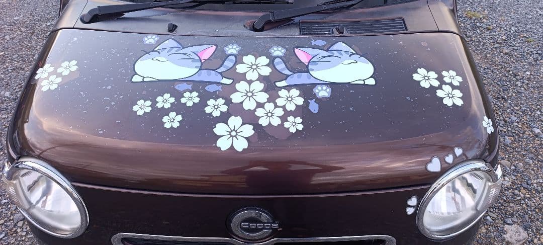 ダイハツ　ココア　年付Ｈ22