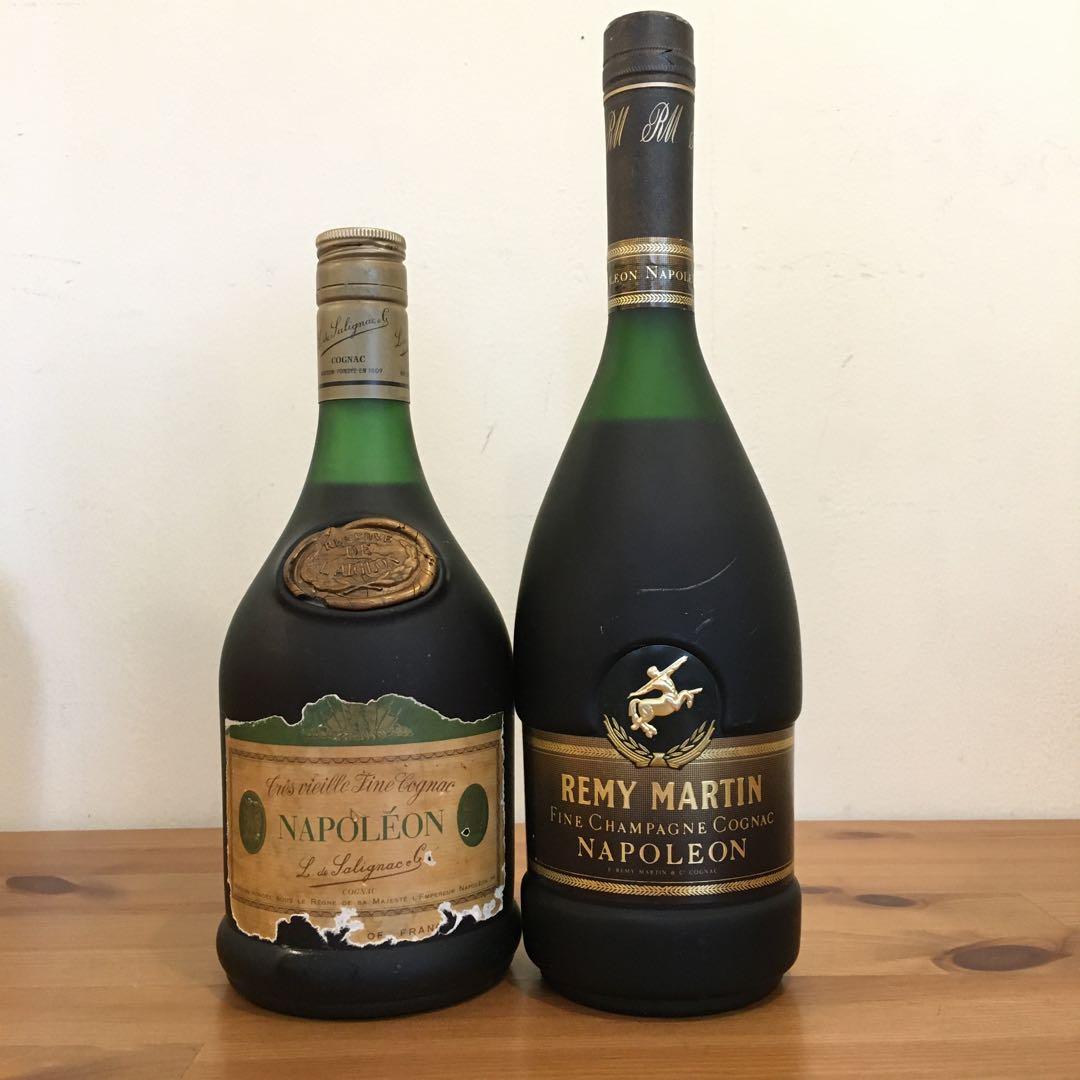 【2本セット】ナポレオン レミーマルタン / サリニャック 700ml