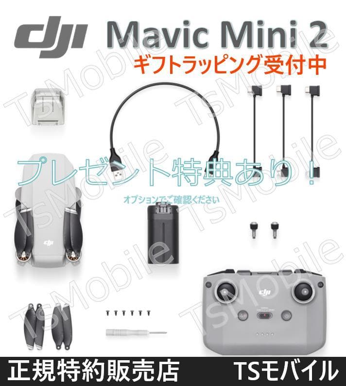 DJI Mavic Mini2 マビック ミニ2 小型 DJI 4Kカメラ付き