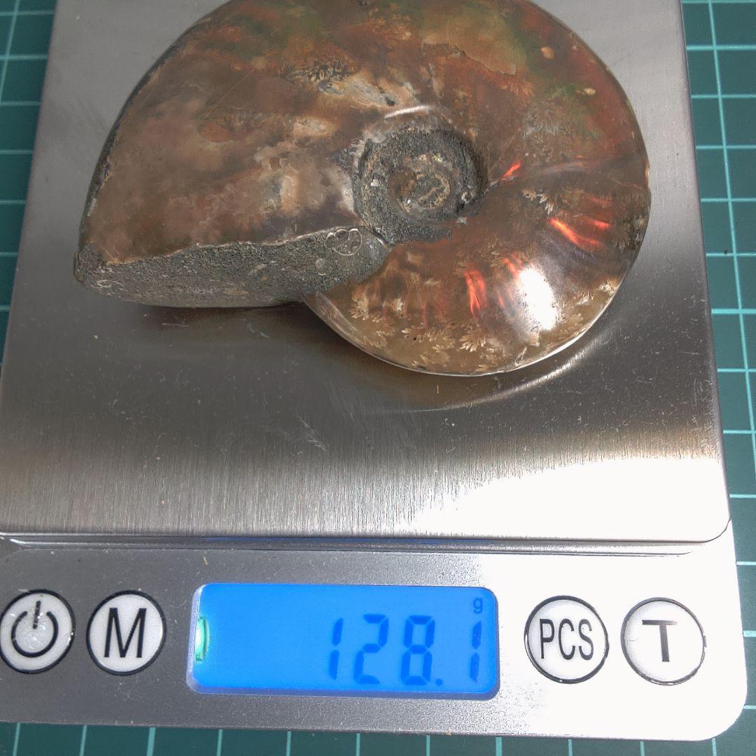 小物１ アンモナイトの化石